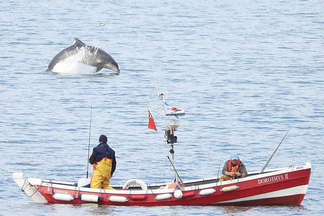 John Huntley and Dave Grieves are treated to a display from a pod of bottlenose dolphins. Picture and copyright: Stuart Baines, Scarborough Porpoise.