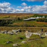 The beautiful - and rabbit-filled - North York Moors National Park appears to be the sea eagles' new habitat