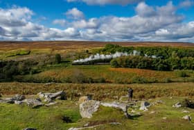 The beautiful - and rabbit-filled - North York Moors National Park appears to be the sea eagles' new habitat