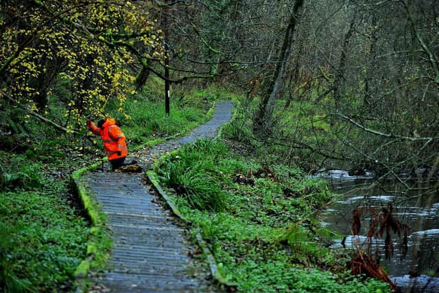 Doing repairs on the Forge Valley Boardwalk