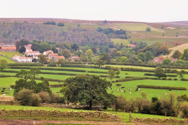 North York Moors.