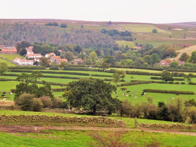 North York Moors.