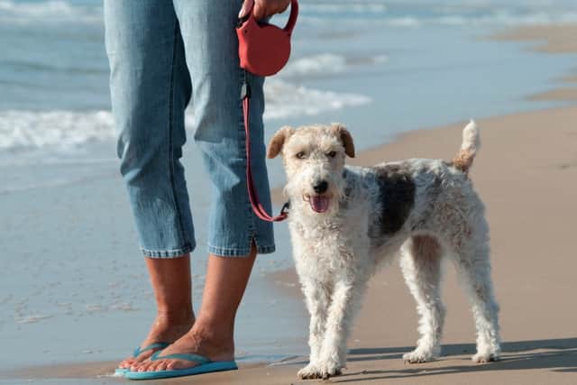 There will be restrictions on four beaches along the east coast.