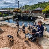 Scarborough Sea Life Centre has been given the green light to reopen.