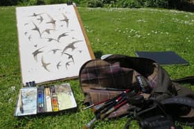 Jonathan Pomroy is a wildlife and landscape artist who has written a book on swifts called On Crescent Wings.