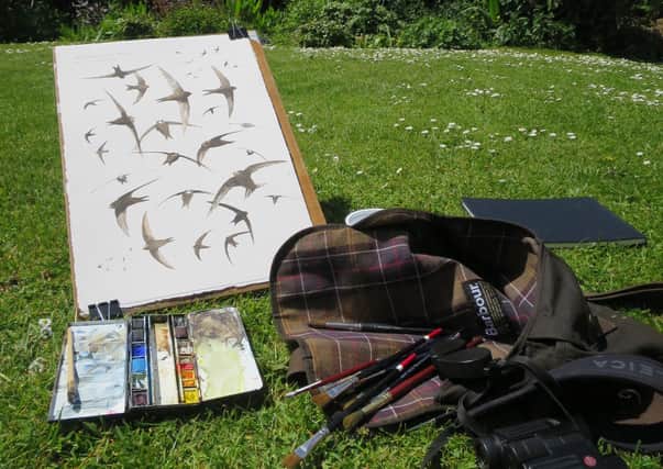 Jonathan Pomroy is a wildlife and landscape artist who has written a book on swifts called On Crescent Wings.