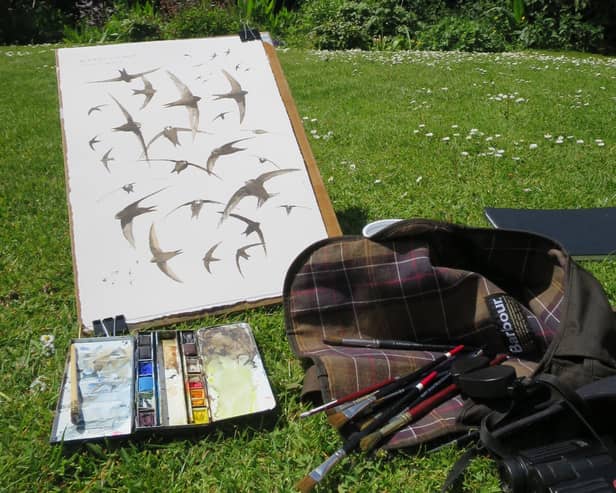Jonathan Pomroy is a wildlife and landscape artist who has written a book on swifts called On Crescent Wings.