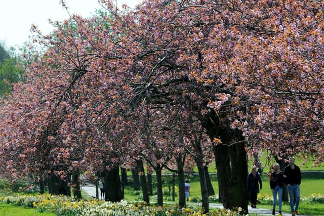 The Stray, Harrogate, one of the areas where large numbers of people are gathering.