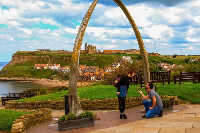 Sam Race pops the question to girlfriend Jessica Rowell by the Whitby whalebones.