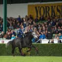 Atkinsons Action Horses at last year's Great Yorkshire Show.