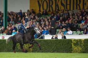 Atkinsons Action Horses at last year's Great Yorkshire Show.