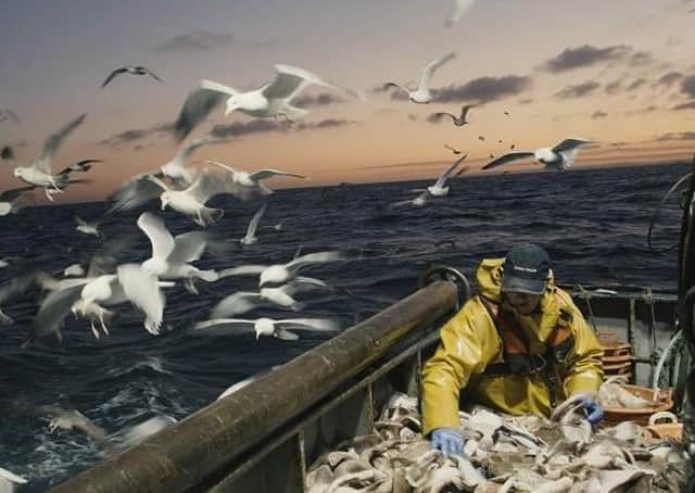 The new safety campaign, led by The Fishing Industry Safety Group, highlights a skipper’s day at sea. Photo courtesy of The Fishing Industry Safety Group