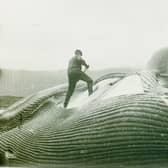 Random Allusions to Whales is on Tuesday July 28