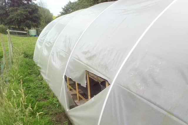 Damage to the polytunnel where the battery was stolen.