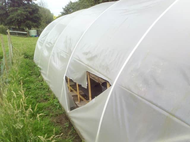 Damage to the polytunnel where the battery was stolen.