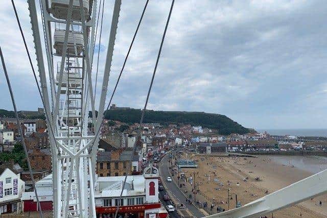 View from the wheel