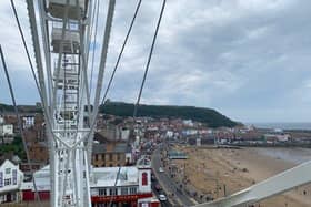View from the wheel