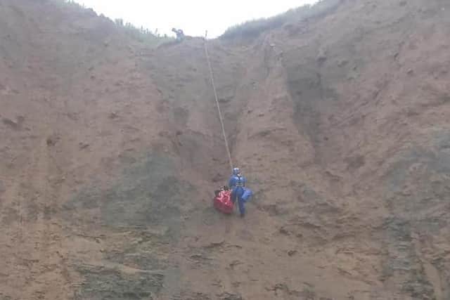 The dog is rescued