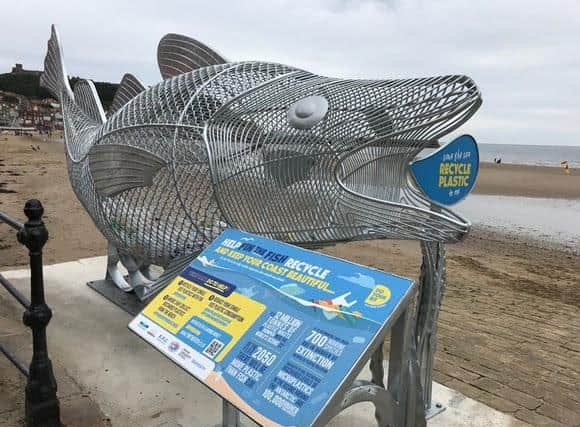 Fin the Fish