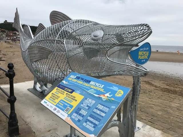 Fin the Fish
