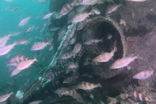 Some of the sights captured by the divers: this is the hatch of the U-boat UC-39, sunk off Flamborough in 1917.