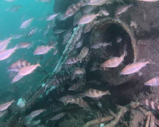 Some of the sights captured by the divers: this is the hatch of the U-boat UC-39, sunk off Flamborough in 1917.