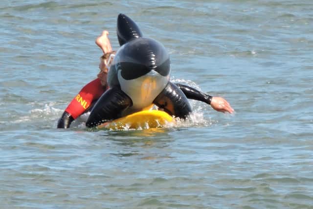 A lifeguard at Sandsend brings ashore an inflatable whale which had blown out to sea ... luckily this one had no children on board.