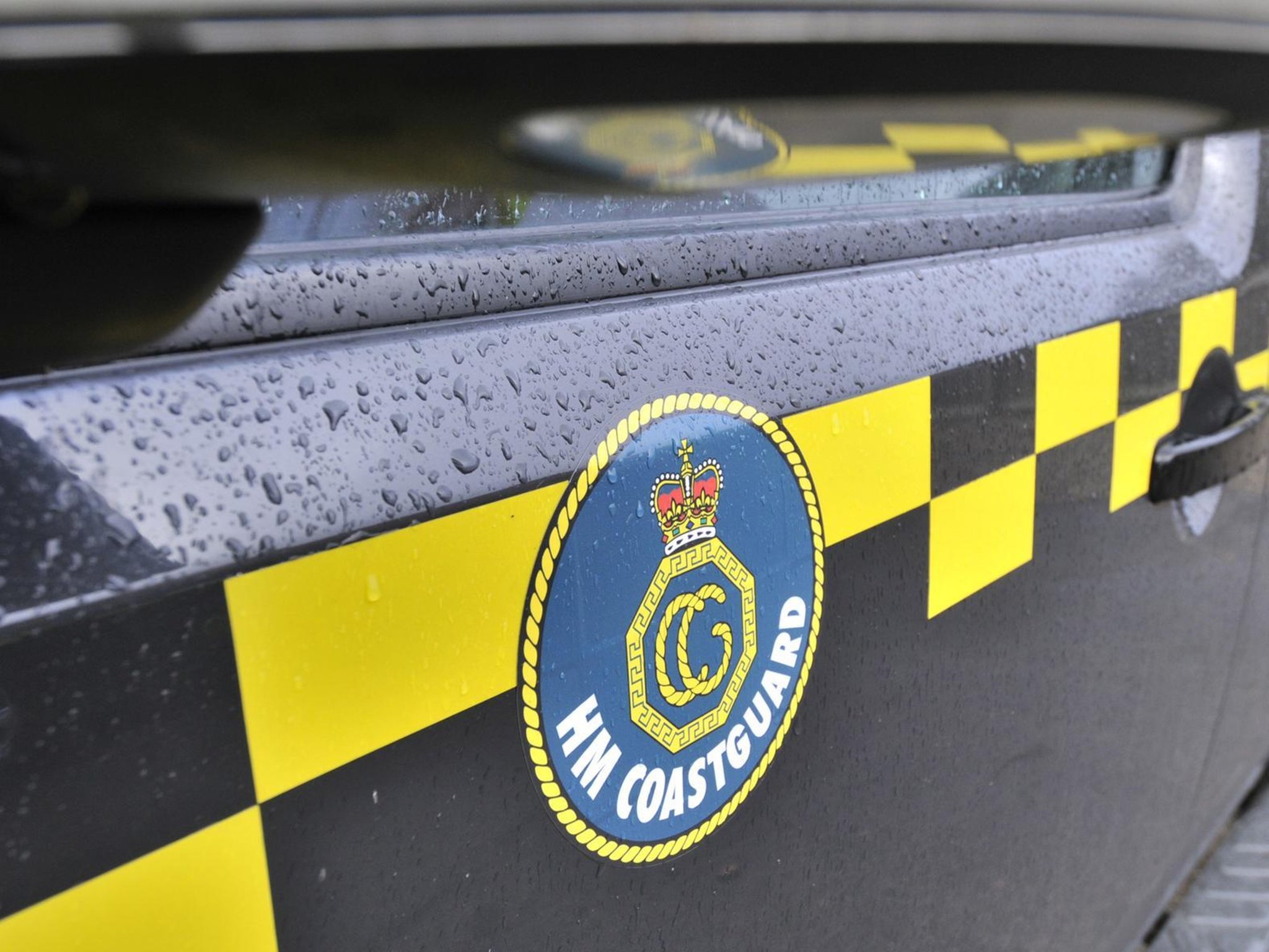 Coastguards rescue dog from cliff ledge on Yorkshire coast