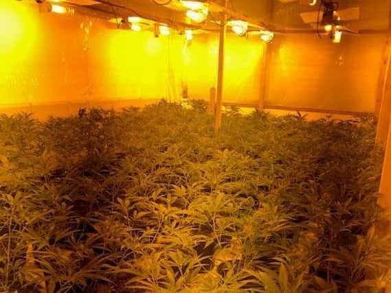 Three men arrested near Bridlington following discovery of large scale cannabis factory
