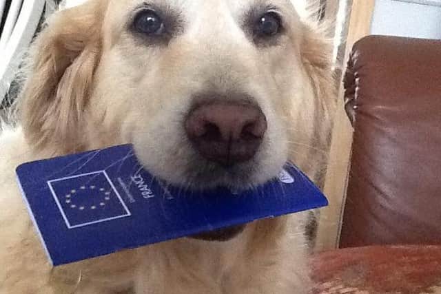 Well-travelled Reema with her passport.