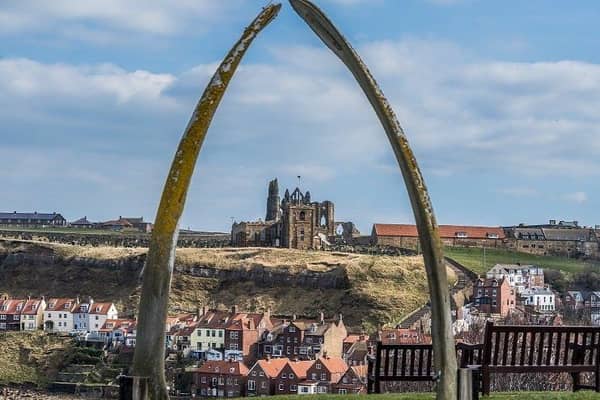 Pictured A view towards Whitby Abbey through the replica Whale's jaw bone which replaced the original archway that was erected in 1853.
Camera Details: Nikon D5, Lens Nikon N VR 70-200mm, Shutter Speed 1/250s, Aperture f/5.6, ISO 80. Pic: James Hardisty