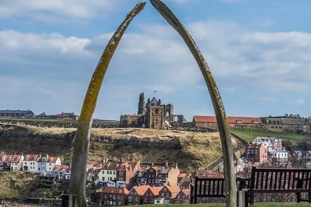 Pictured A view towards Whitby Abbey through the replica Whale's jaw bone which replaced the original archway that was erected in 1853.
Camera Details: Nikon D5, Lens Nikon N VR 70-200mm, Shutter Speed 1/250s, Aperture f/5.6, ISO 80. Pic: James Hardisty