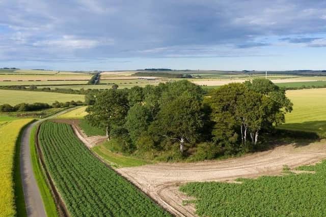 Willy Howe round barrow near Burton Fleming. Photo: Alun Bull