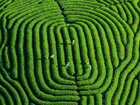 Fingerprints of the Earth by Ruan Kezhuang (2019)