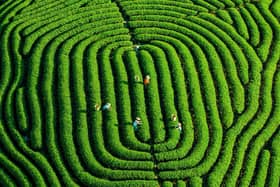 The Fingerprints of the Earth photo by Ruan Kezhuang.