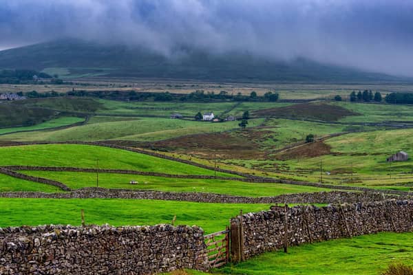 North Yorkshire leaders have until November 9 to submit outline proposals for local government reorganisation. Pic: James Hardisty
