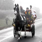 Who needs a sleigh anyway? Santa arrives by horse and carriage, 
at Irton Garden Centre.