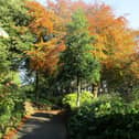 The Friends of Scarborough Valley Gardens group helps the council maintain and improve the popular park.