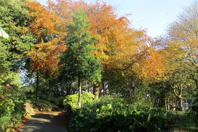 The Friends of Scarborough Valley Gardens group helps the council maintain and improve the popular park.