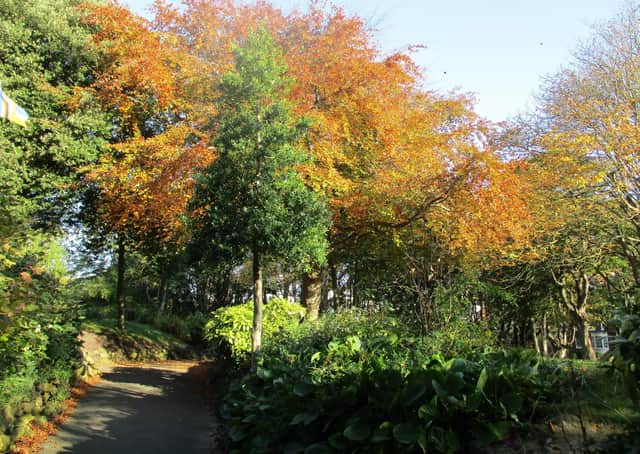 The Friends of Scarborough Valley Gardens group helps the council maintain and improve the popular park.