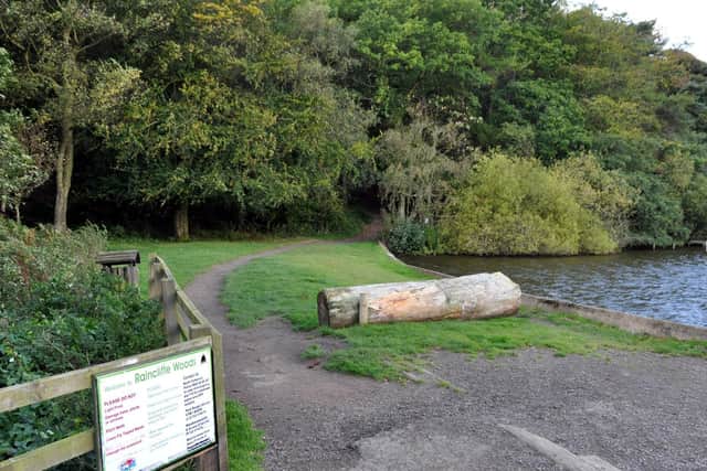 Raincliffe Wood is one of 16 venues featured in a new woodland walks book by Dr Margaret Atherden.