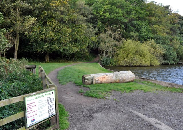 Raincliffe Wood is one of 16 venues featured in a new woodland walks book by Dr Margaret Atherden.