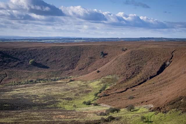 A vehicle left the road near the Hole of Horcum.