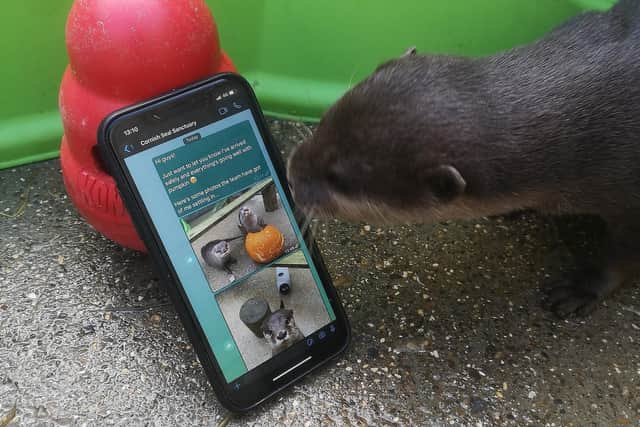 Harris is keeping in touch with his Cornish family thanks to social media.