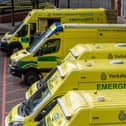 A further 51 people have died after testing positive for coronavirus in Yorkshire hospitals.
