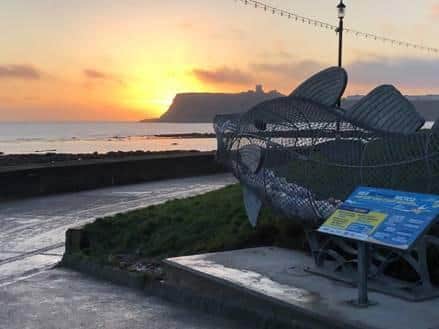 Fin the Fish has moved to Sea Life Scarborough for the winter