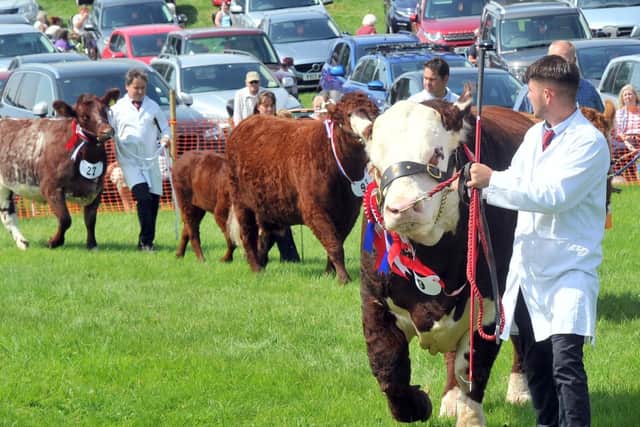 Ryedale Show is due to take place on Tuesday, July 27.
