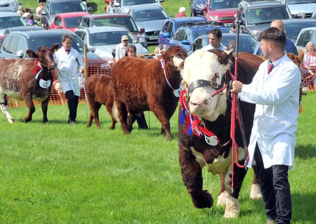 Ryedale Show is due to take place on Tuesday, July 27.