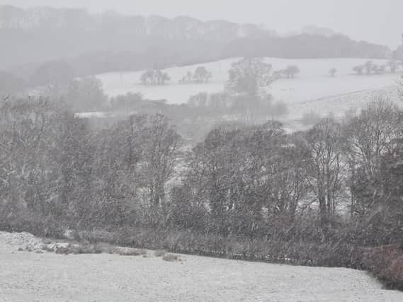 Snow falling on the North York Moors this morning