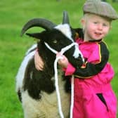 Esmay Duddin 3 from Chop Gate giving a Jacob Ewe a cuddle at the 100th Thornton Le Dale show.